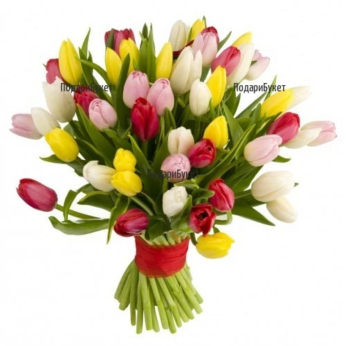 Send bouquet of 51 multicoloured tulips to Sofia, Plovdiv