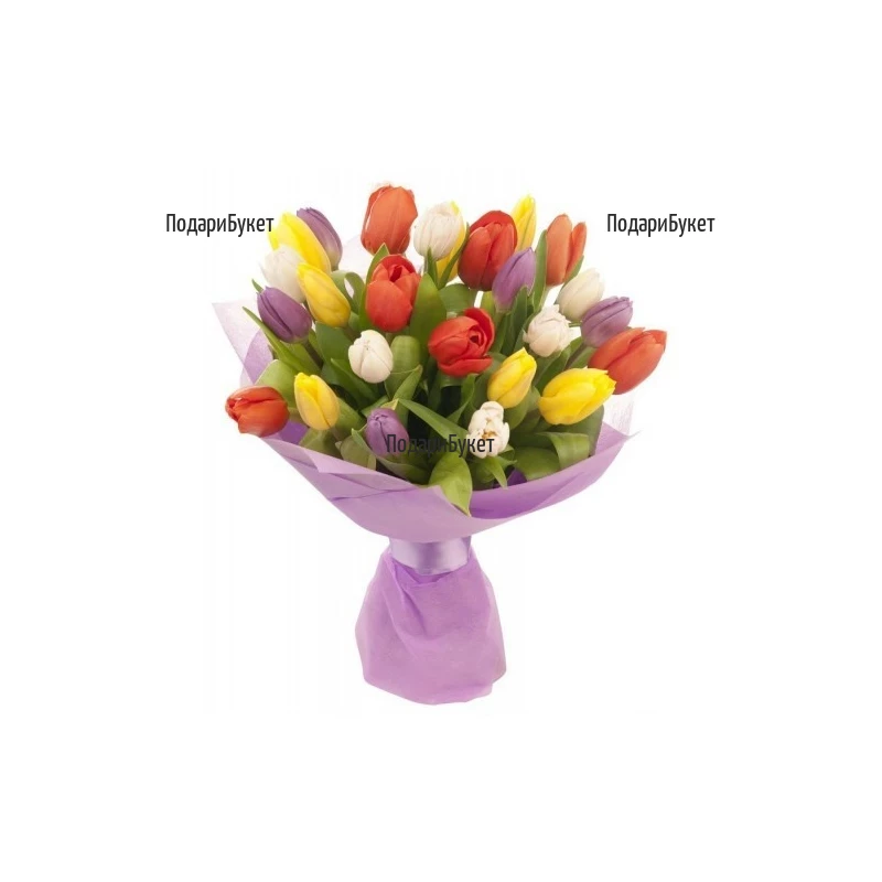 Send bouquet of multicoloured tulips to Sofia, Burgas