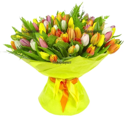 101 Multicolored Tulips