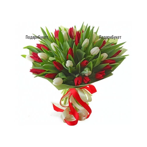 Онлайн поръчка на романтичен Букет от червени и бели лалета