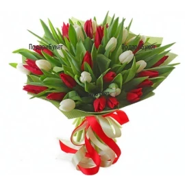 Онлайн поръчка на романтичен Букет от червени и бели лалета
