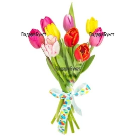 Send bouquet of 9 tulips to Sofia, Plovdiv, Varna