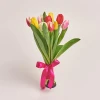 Send bouquet of 11 tulips to Sofia, Plovdiv, Varna