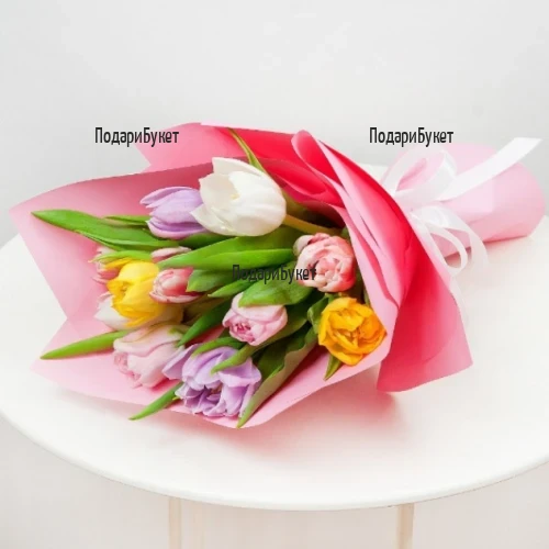 Send bouquet of 11 tulips to Sofia, Plovdiv, Varna