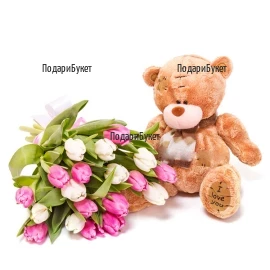 Send bouquet of tulips and Teddy Bear to Sofia, Varna, Burgas