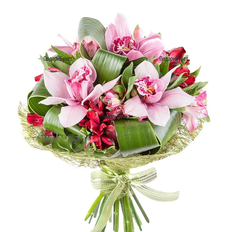 Send bouquet of orchids and alsroemeria  to Sofia, Plovdiv, Varna