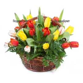 A basket with spring tulips and greenery.