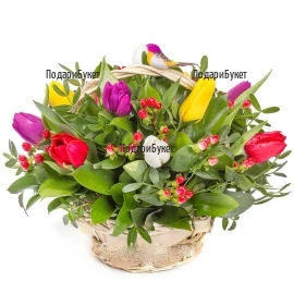 A basket with colorful tulips and greenery.