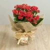 Send to Bulgaria red kalanchoe in pot