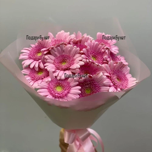 Send to Sofia Bulgaria a bouquet of pink gerberas