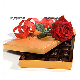 Flower delivery to Sofia - one rose and chocolates