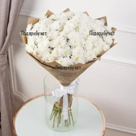 White chrysanthemums wrapped in cellophane. Classic bouquet, perfect gift for all occasions and recipients.