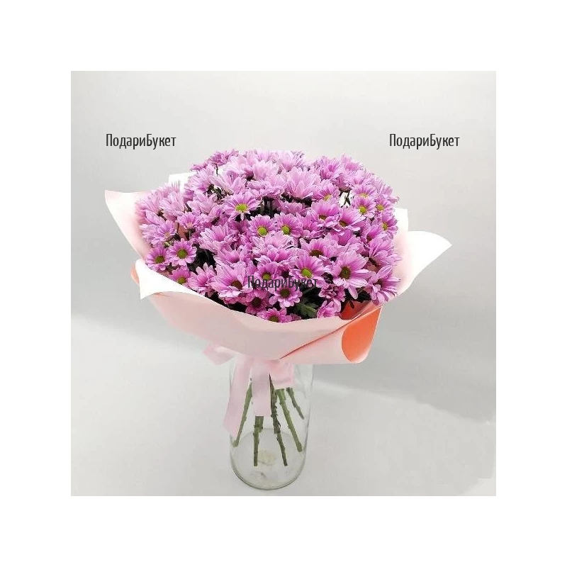 Send bouquet of pink chrysanthemums to Ruse, Haskovo, Pleven, Varna