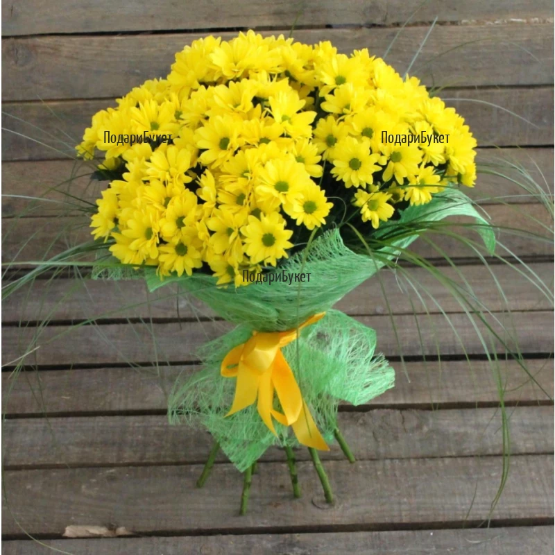 Send bouquet of yellow chrysanthemums to Sofia, Plovdiv, Varna, Burgas