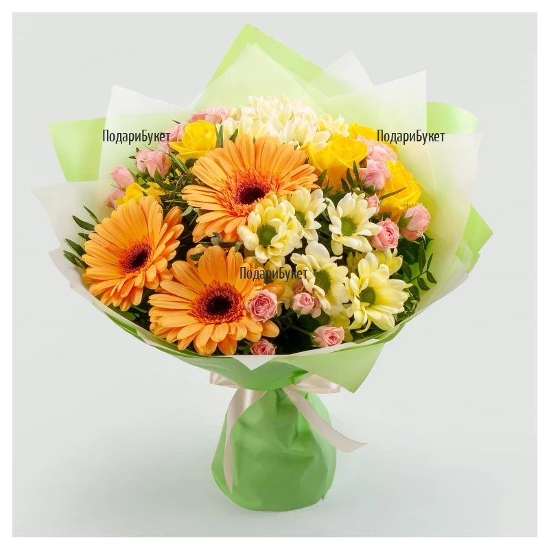 Order bouquet of gerberas, chrysanthemums and alstroemerias to Sofia
