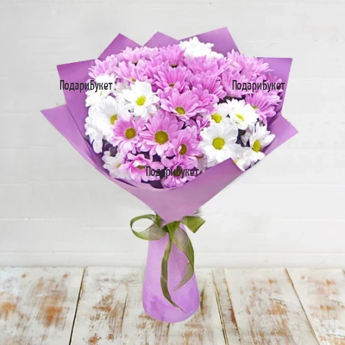 Send bouquet of pink chrysanthemums to Sofia, Plovdiv, Varna, Burgas.