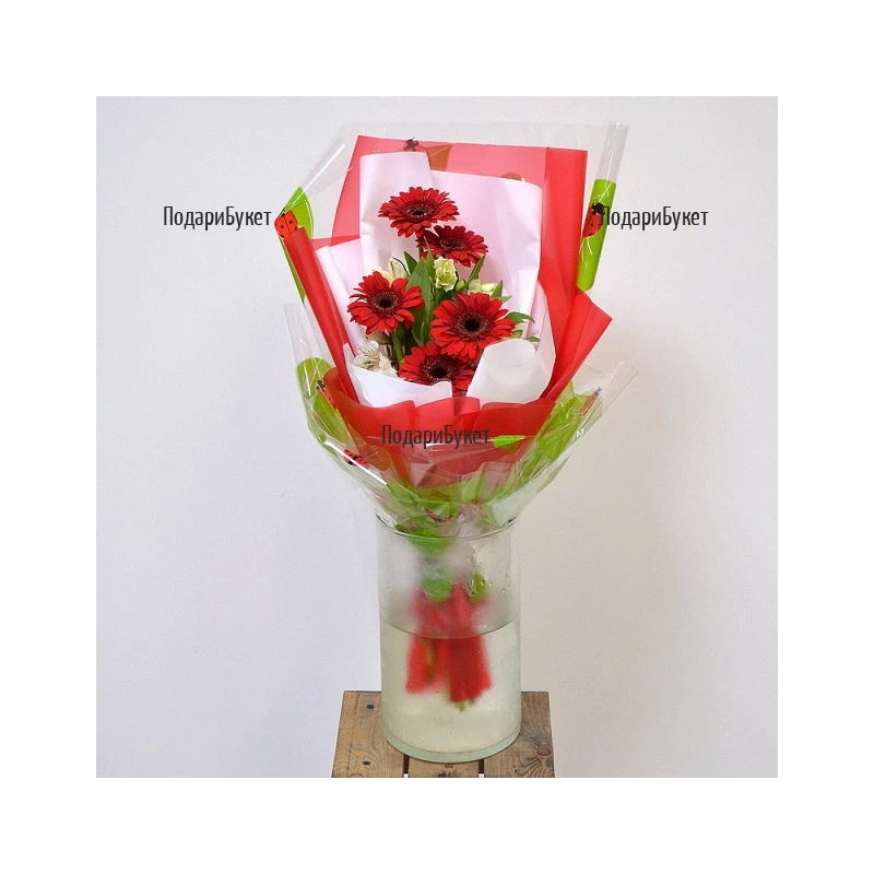 Send stylish bouquet of gerberas to Sofia, Plovdiv, Varna, Burgas