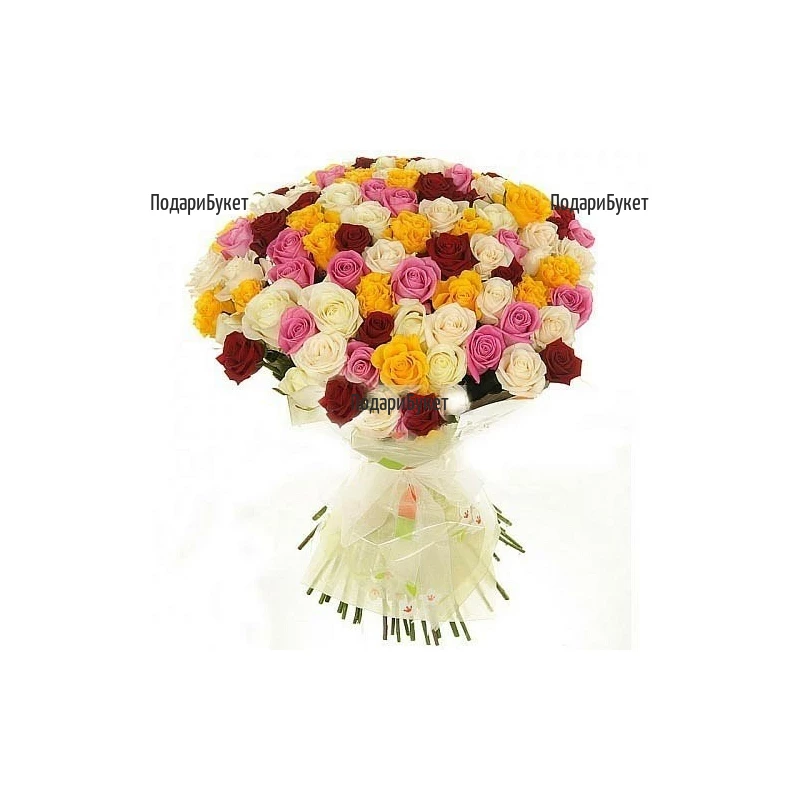 Send 101 multicoloured roses to Sofia, Plovdiv, Varna, Burgas