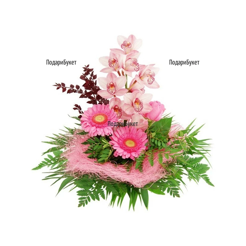Order online flowers and bouquets of orchids