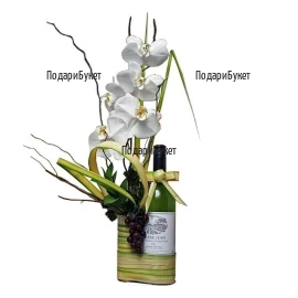 Unique, stunning arrangement with Phalaenopsis orchid in a pot, a bottle of white wine Mezzek, dry materials and greenery.