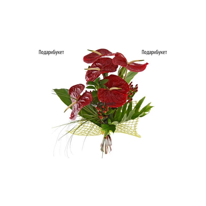 Order online bouquet of anthuriums and greenery.