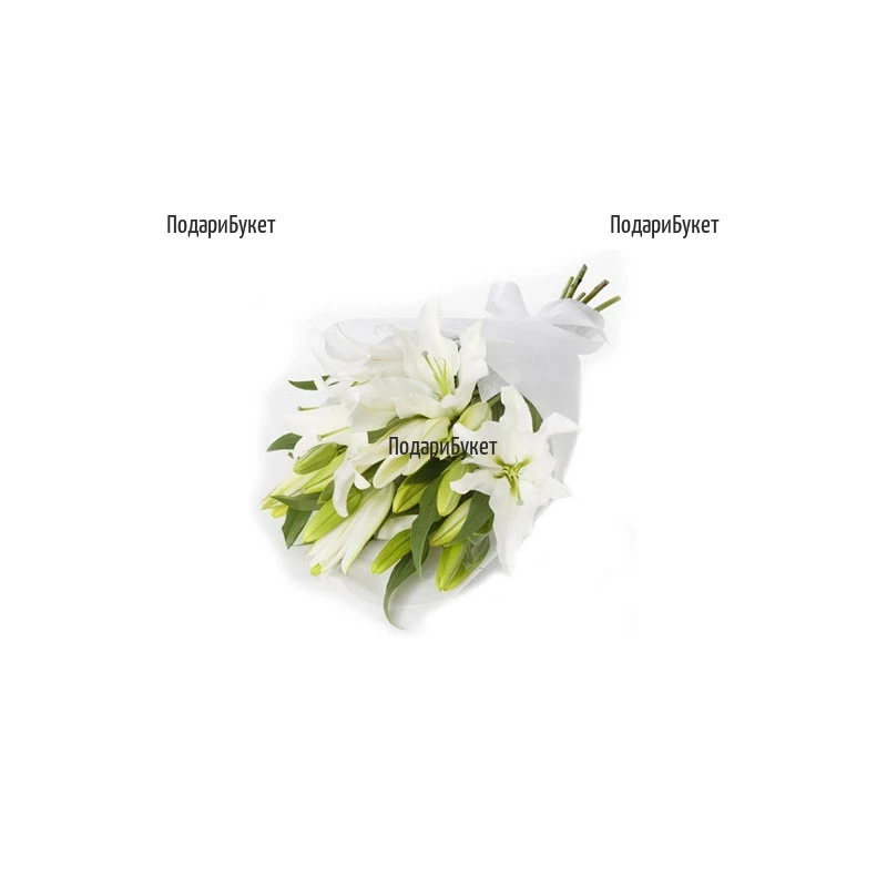 Flower delivery - bouquet of white lilies to Sofia, Plovdiv, Varna