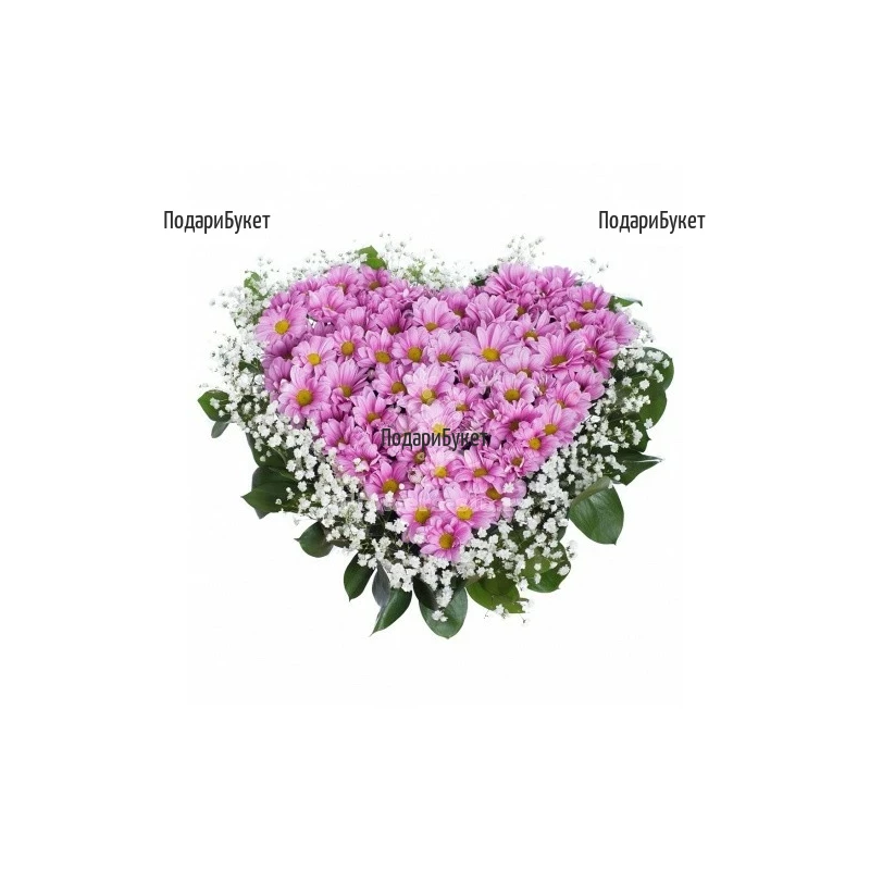 Send hear of pink chrysanthemums to Sofia, Plovdiv, Varna, Burgas