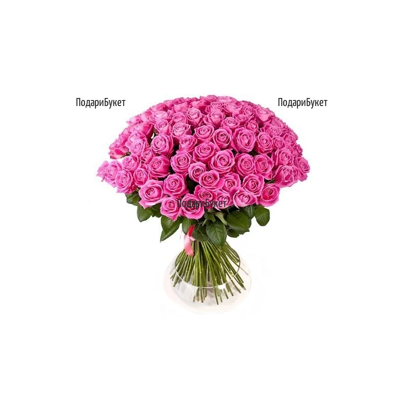 Send 101 pink roses to Sofia, Plovdiv, Varna, Burgas