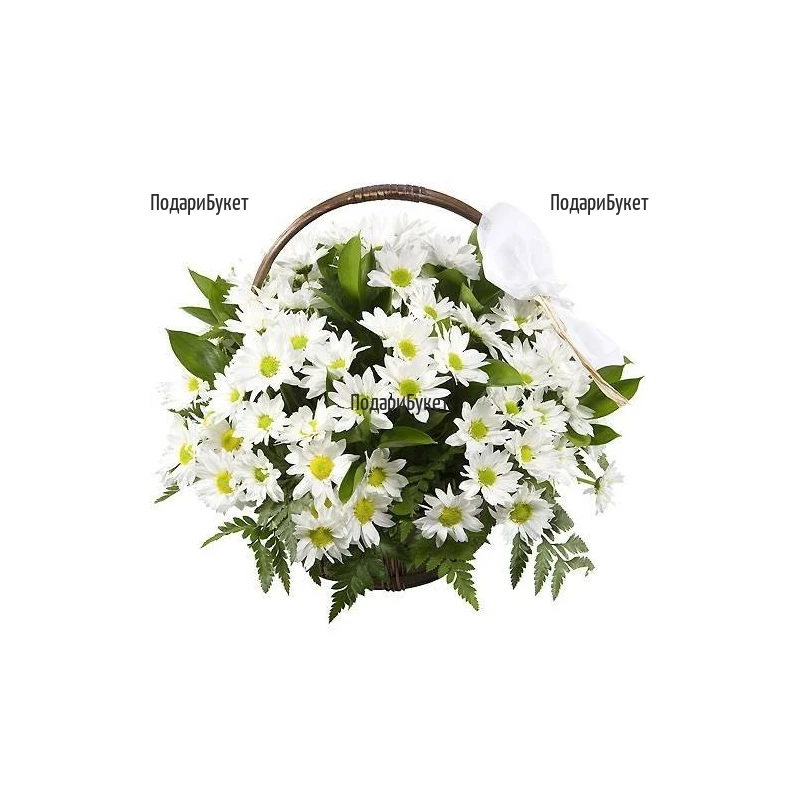 Send a basket with flowers and white chrysanthemums to Sofia, Plovdiv, Varna