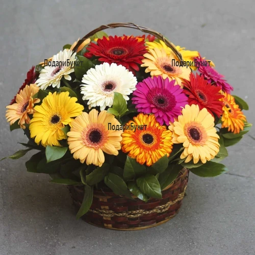 Basket of Multicolored Gerberas and Greenery
