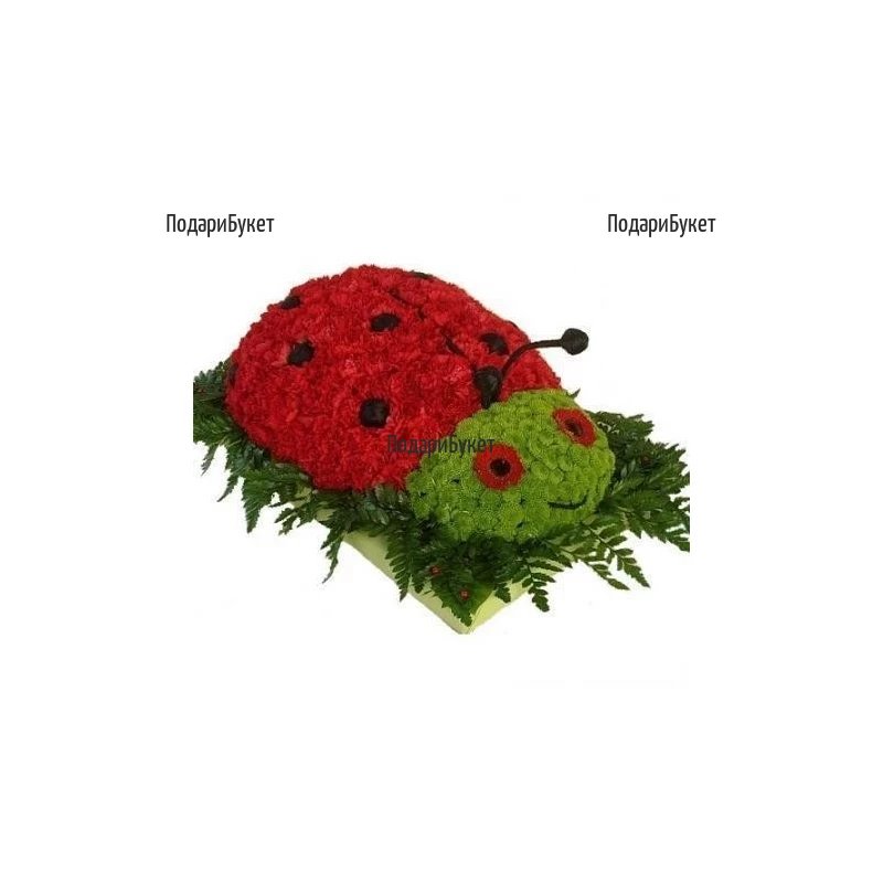 Order flower figure in the shape of ladybird to Sofia, Plovdiv