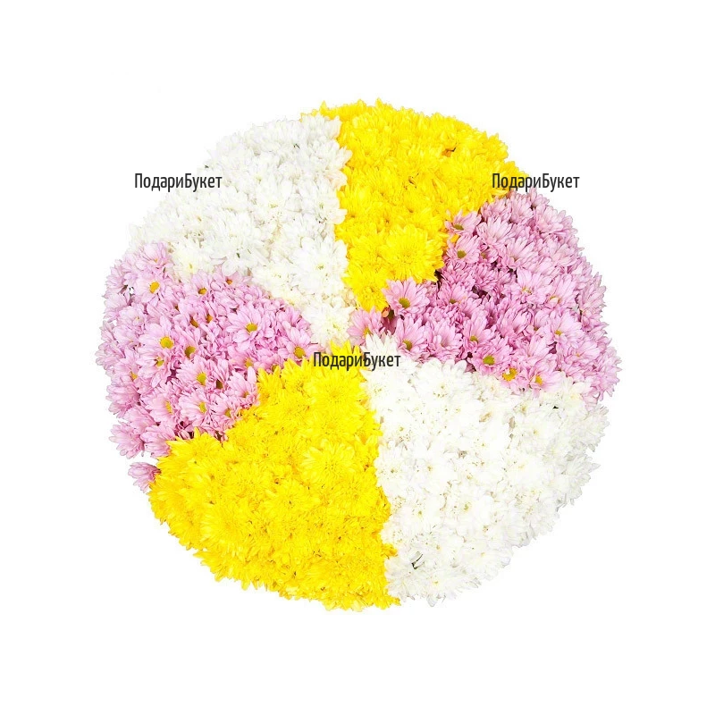 Order flower figure - chrysanthemums to Sofia, Plovdiv, Varna, Burgas