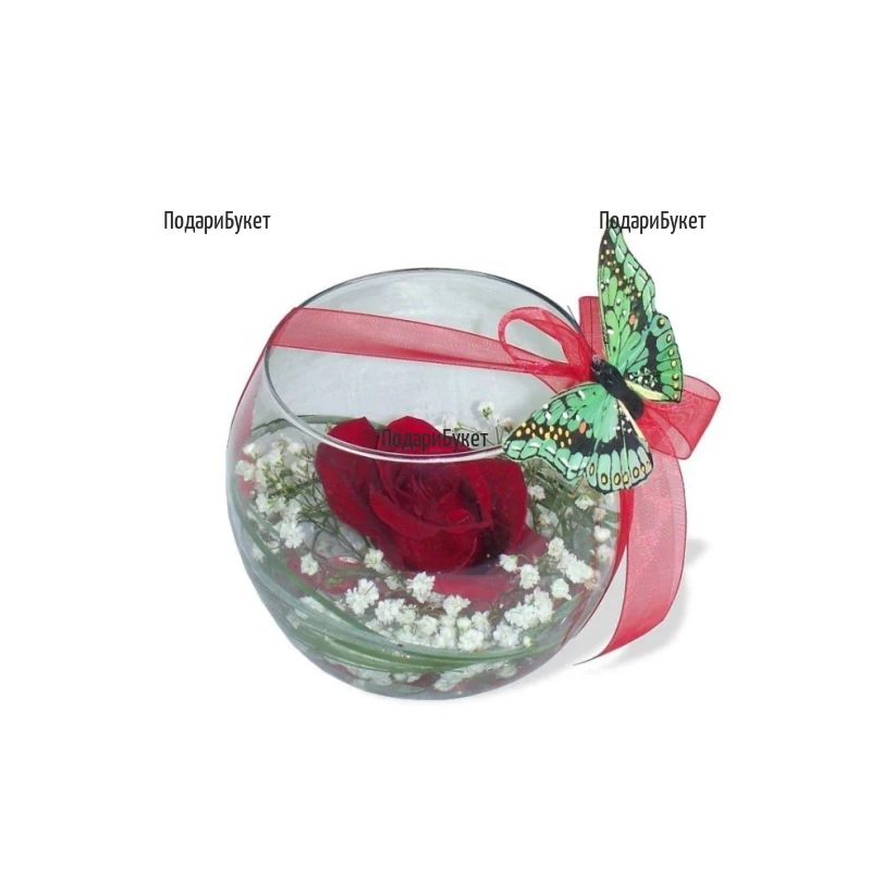 Send arrangement with one rose