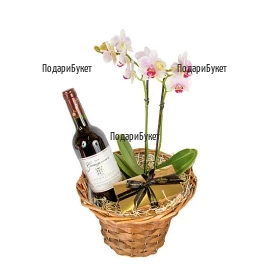 Send gift basket with Orchid and red wine to Sofia, Plovdiv, Varna