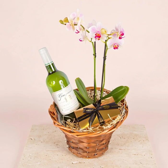 Send basket with orchid, wine and chocolates to Sofia by courier.