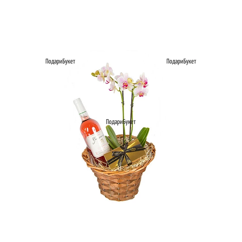 Send basket with orchid and gifts to Sofia