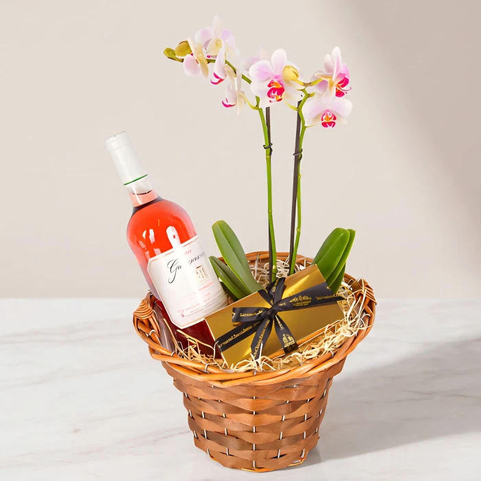 Send basket with orchid and gifts to Sofia