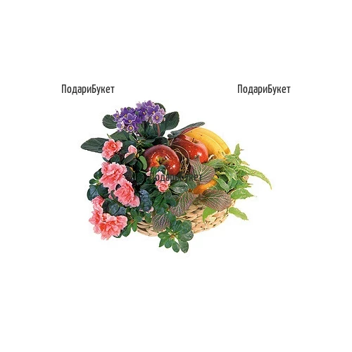 Send a basket with pot plants and fruits to Sofia