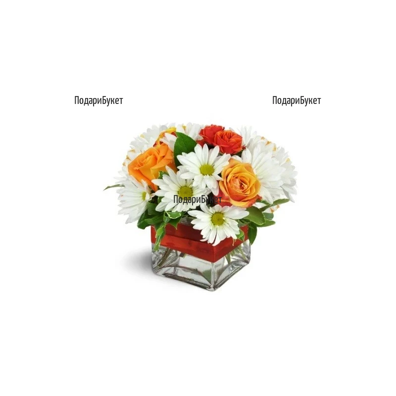Send arrangement  of roses and chrysanthemums to Sofia, Plovdiv, Varna