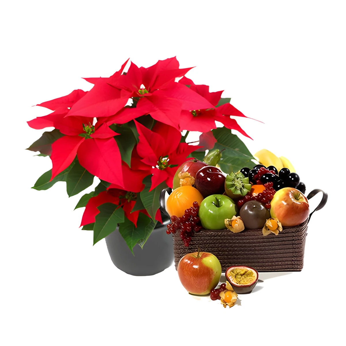 Send Poinsettia and fruits to Plovdiv