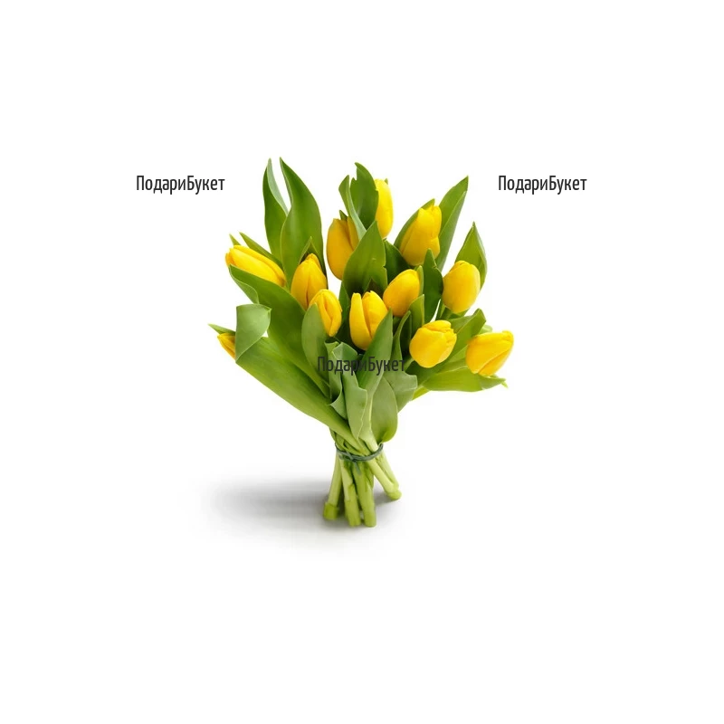 Yellow Tulips