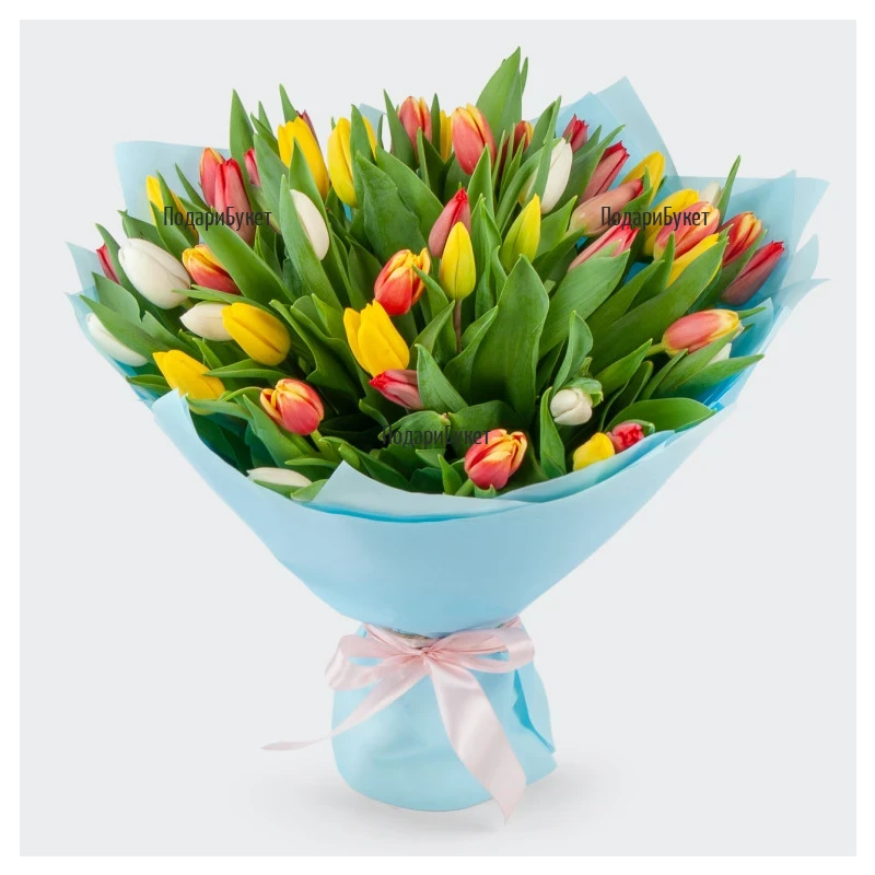 Send bouquet of 51 multicoloured tulips to Sofia, Plovdiv