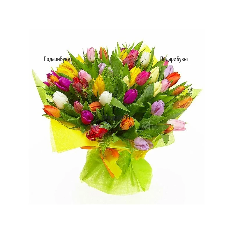 Spring Sensation