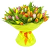 101 Multicolored Tulips
