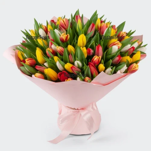 101 Multicolored Tulips
