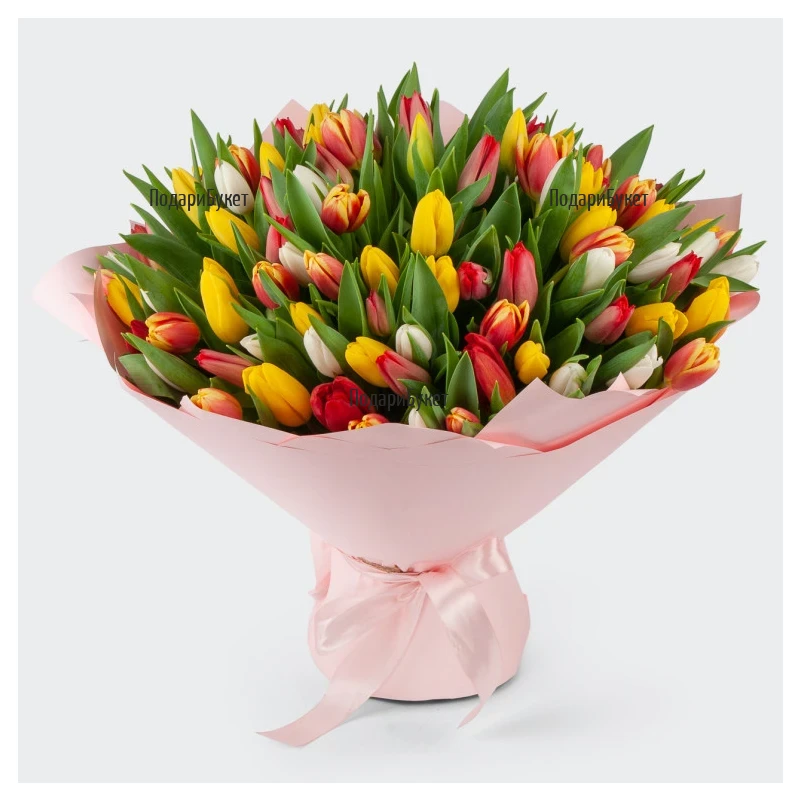 101 Multicolored Tulips