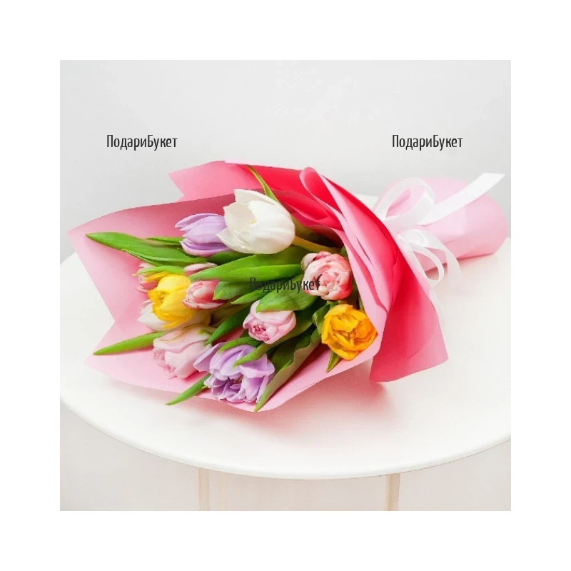 Send bouquet of 11 tulips to Sofia, Plovdiv, Varna