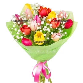 Charming, cheerful bouquet of 15 tulips, gypsofila, wrapped and tied with a ribbon.