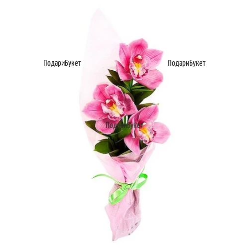 A bouquet of Cymbidium orchid blooms