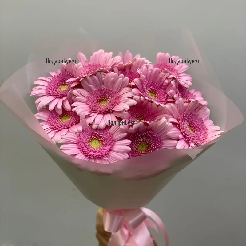Send to Sofia Bulgaria a bouquet of pink gerberas